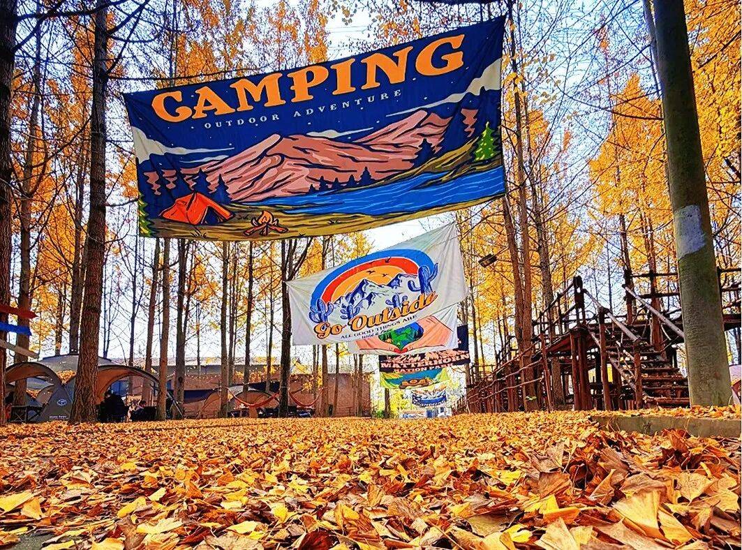 兴“多业态融合”标杆项目学习考察（成都站）瓦力娱乐棋牌312~315 2026乡村振(图4)