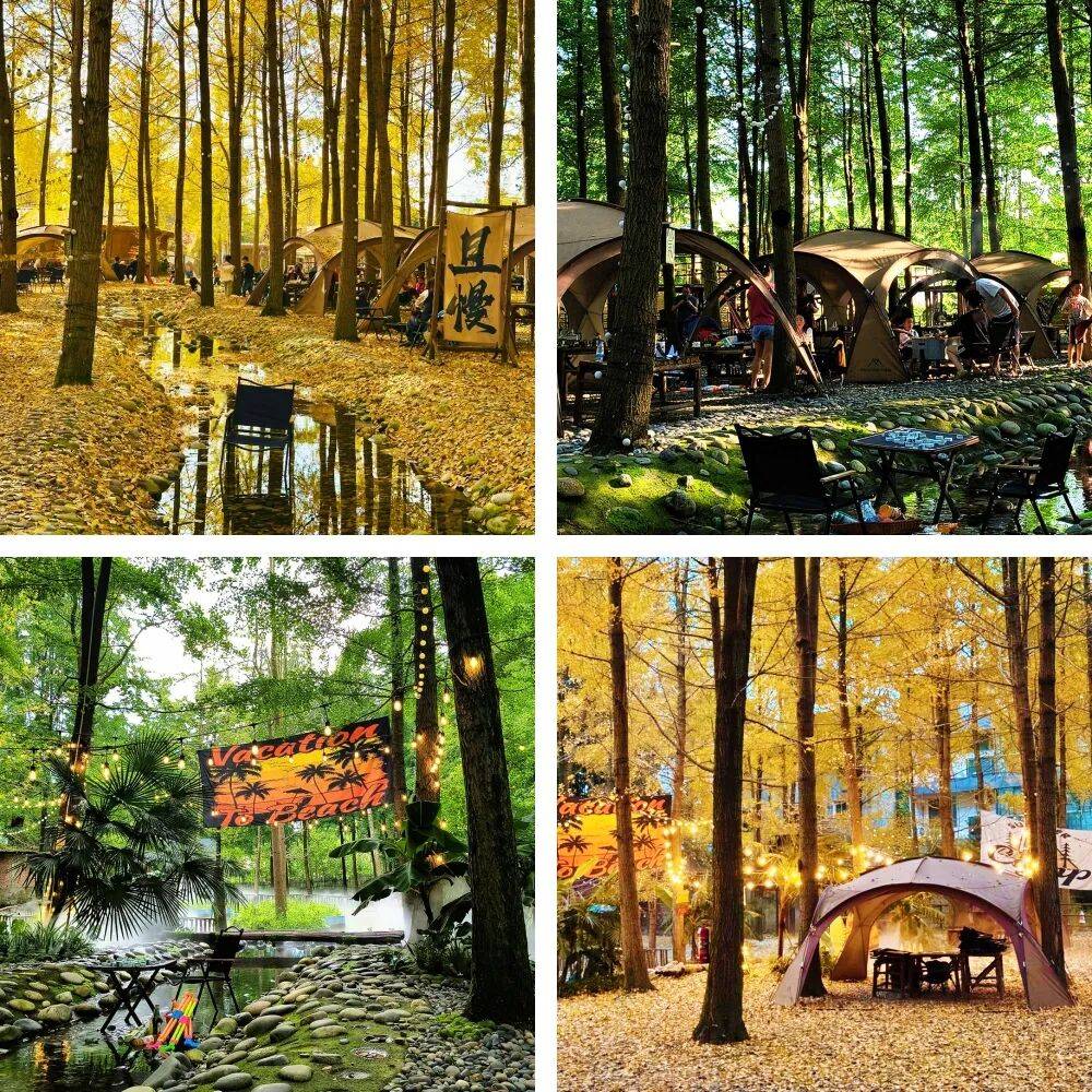 兴“多业态融合”标杆项目学习考察(成都站)瓦力娱乐棋牌312~315 2026乡村振(图9) 兴“多业态融合”标杆项目学习考察(成都站)瓦力娱乐棋牌312~315 2026乡村振(图9)