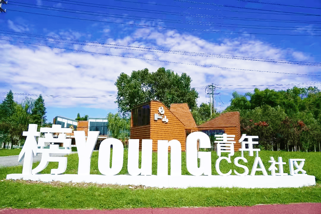 兴“多业态融合”标杆项目学习考察（成都站）瓦力娱乐棋牌312~315 2026乡村振(图14)